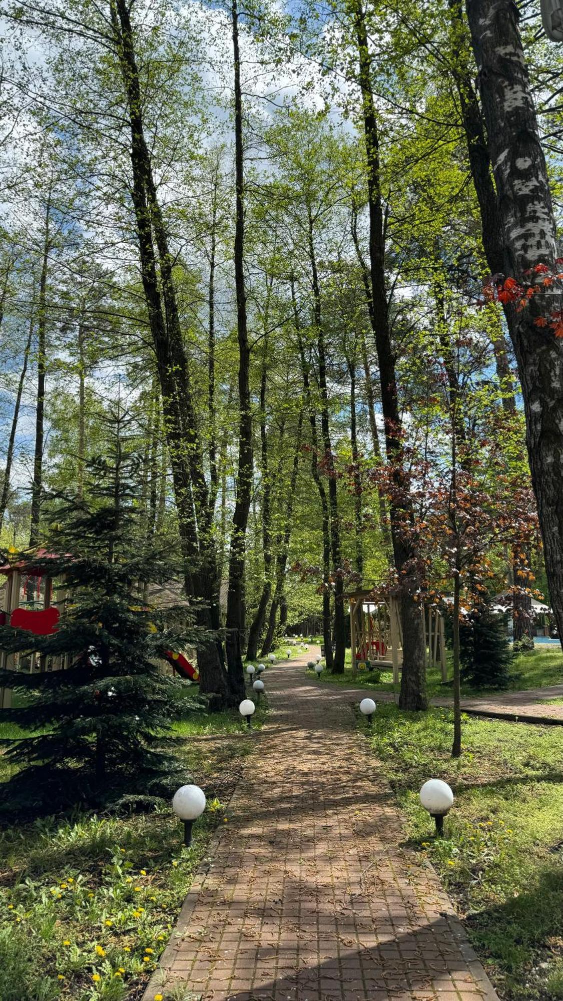 Tysha Forest Club Romankiv Extérieur photo